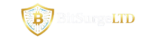 BitSurgeLtd®
